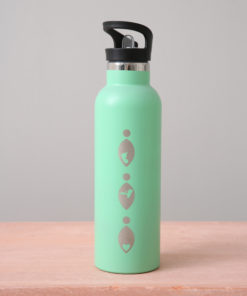 Sports Lid Stainless Steel 750ml drinks bottle
